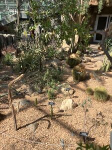 Desert fauna at Brooklyn Botanic Garden